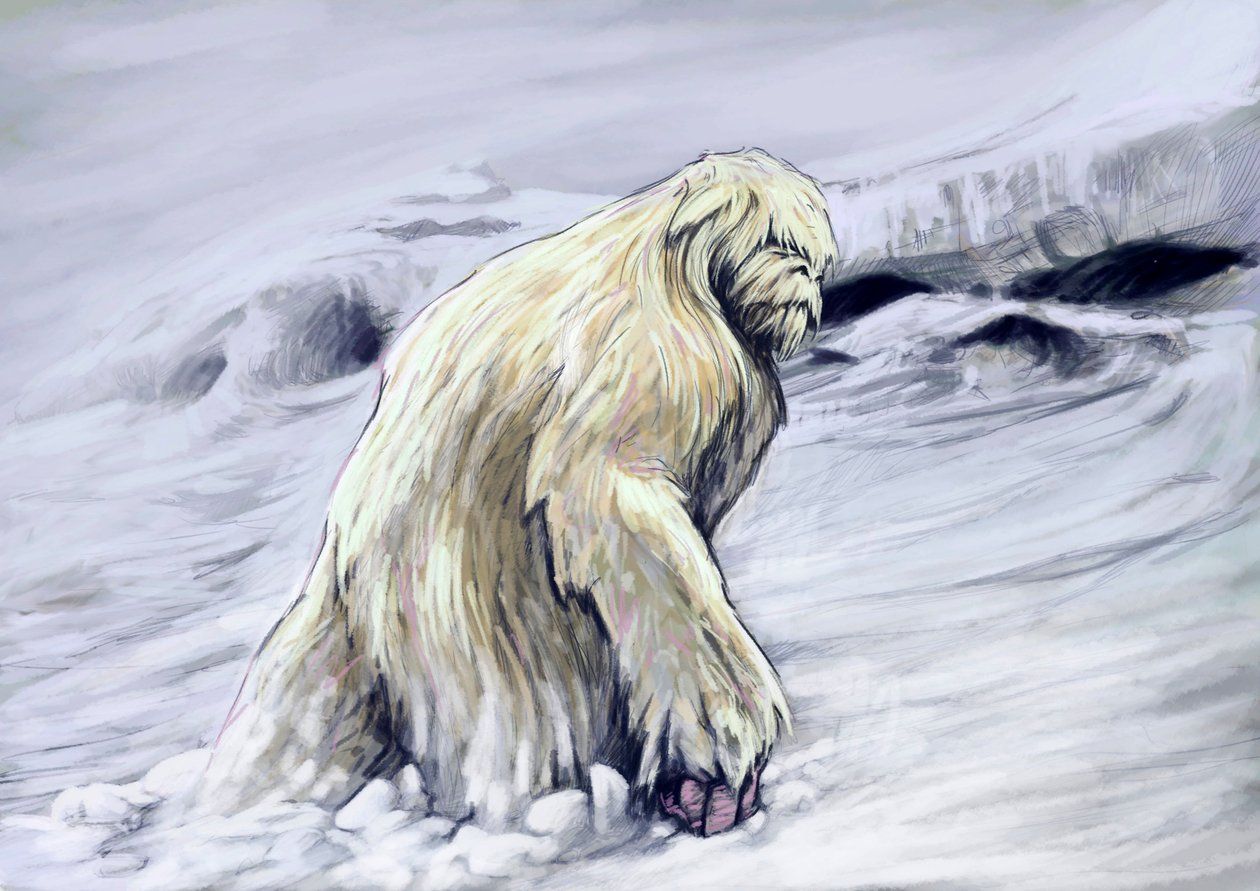 yeti